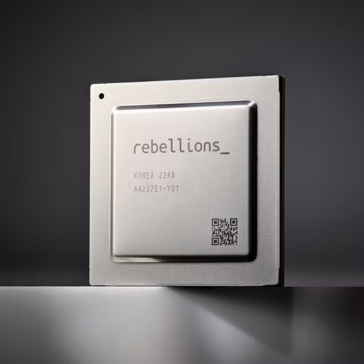 Rebellions — AI inference accelerator chips.