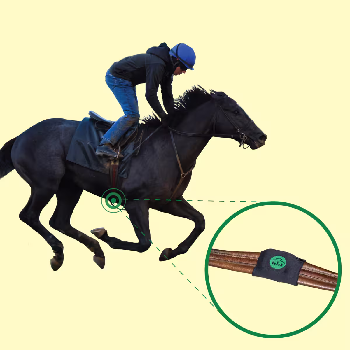 Stable Analytics — Racehorse wearables.